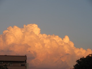 16BD104E-903D-4D0D-B36D-0642C48B62AA/L0/001