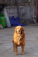 30880