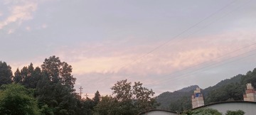 368273