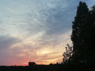 530808