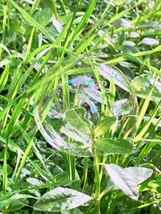 94987891-EC34-4C36-B899-FAD629A24EE1/L0/001