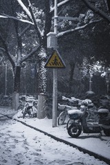 1000104238