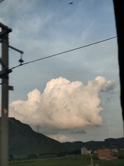 1000053351