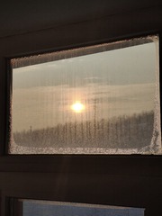 1000031580