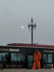1000062650