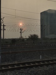 1000052402