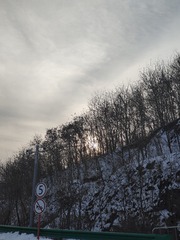 1000024275