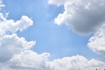72261