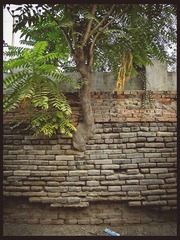 IMG_1646.jpg