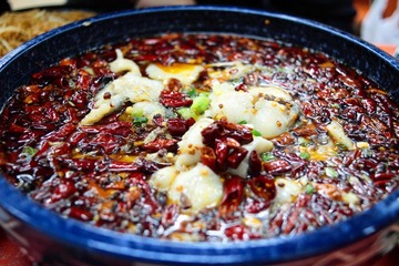 沸腾鱼