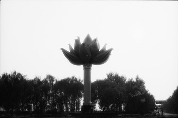 莲花柱子。