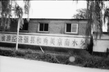 俺们白洋淀。