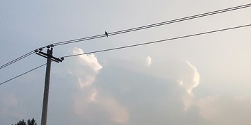 2348299