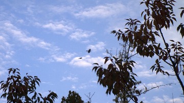 P1013834