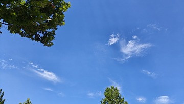 1000009132