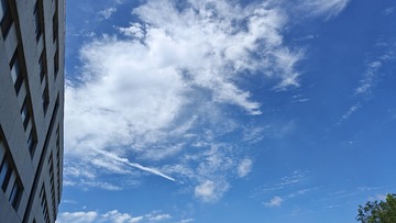 1000009118