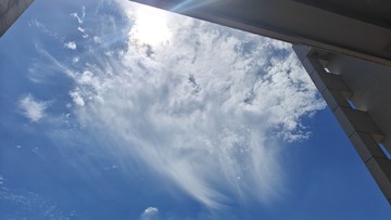 1000009119