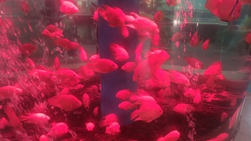 IMG20240707115614