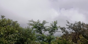 3320542
