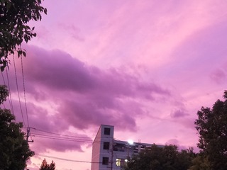 1296148