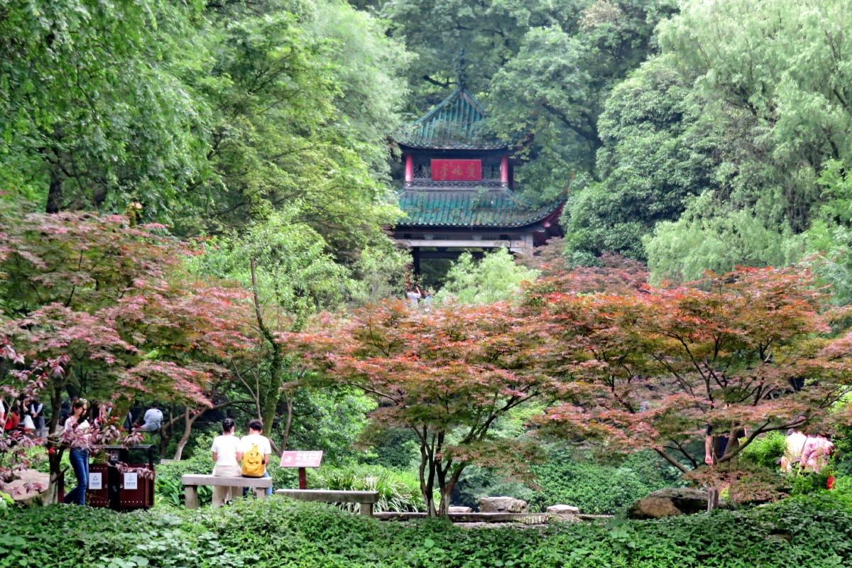 长沙岳麓区图片,学区(第18页)_大山谷图库