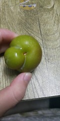 3384473