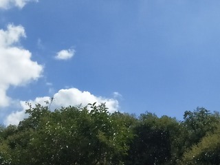 563257