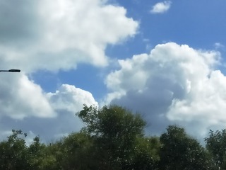 563259