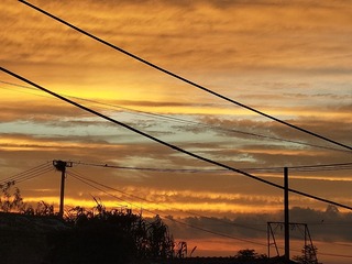 568066