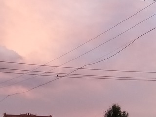 568072