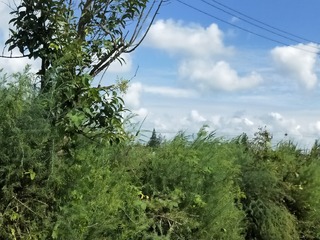 563210