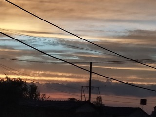568067