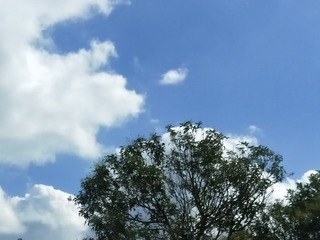 563258
