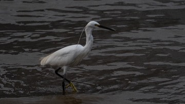 11293877-65D3-4A07-8CAA-7AD2374E35F0/L0/001