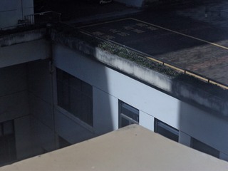 1000020682