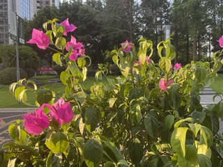 72C3A9BE-79D9-4FD3-BE3F-0A92B7E7D5EE/L0/001