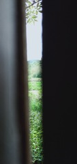2604310