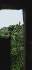 2604313