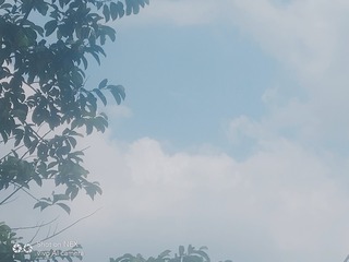 17378