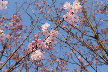 0A275D49-0A43-4DA1-8A64-64BF04F8F732/L0/001