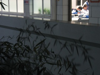 1C5D9E48-4C34-43D7-944E-F8E894E5B0E9/L0/001