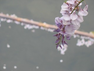 6BB0D8EF-79AF-4AD9-9C4D-8C591023F3E5/L0/001