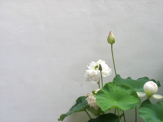 89D38CDE-1E84-41D0-8C26-4EEF0835B48A/L0/001