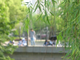 C4017287-37C8-49E7-8607-E4986D524342/L0/001