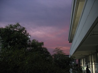 A91F40B4-70B2-4249-BC79-E22802FADC90/L0/001