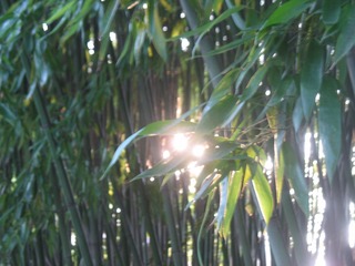 8EAEA1F6-74CB-4BC2-B157-EF8CCADA9E69/L0/001