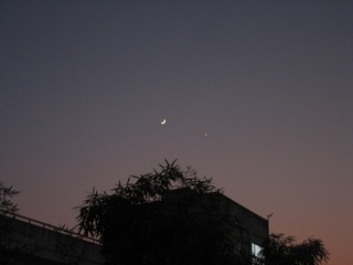 E53096D9-0A95-4095-A171-29443AF53771/L0/001