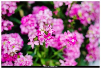 DSC_4884副本.jpg