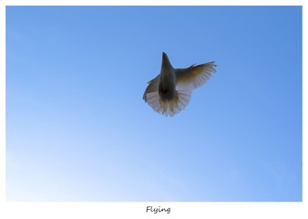 DSC_5818副本.jpg