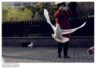DSC_5823副本.jpg